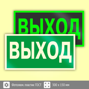 Знак E22 «Указатель выхода» (фотолюминесцентный пластик ГОСТ 34428-2018, 300х150 мм)