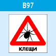 ���� ������, B97 (�������, 300�300 ��)