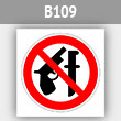 ���� ������� ���������, B109 (������, 200�200 ��)